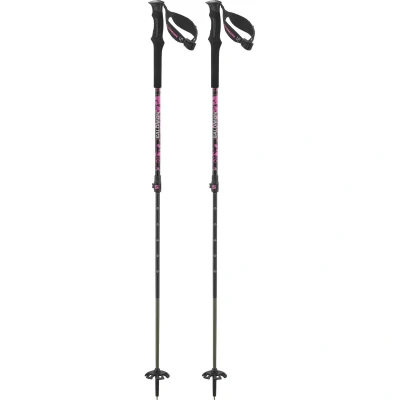Εικόνα του Salomon QST Carbon S3 Μπατόν σκι