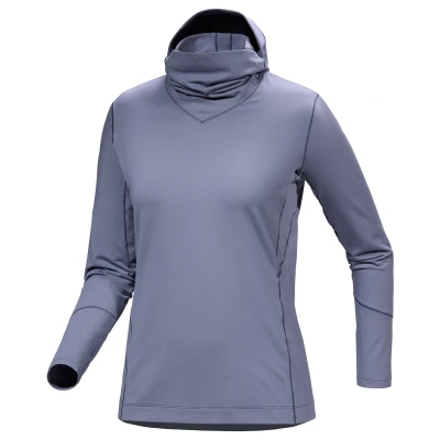 Εικόνα του Arc&#039;teryx Rho Hoody W ondergoed tops