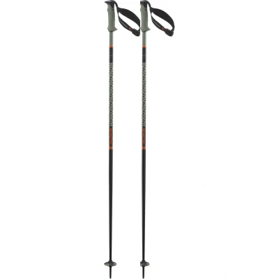 Εικόνα του Salomon Polar Pro S3 Μπατόν σκι