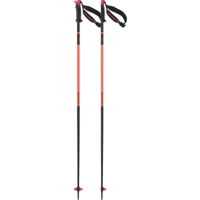 Εικόνα του Salomon Polar Pro S3 Μπατόν σκι