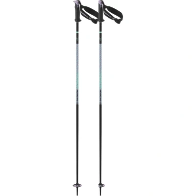 Εικόνα του Salomon Polar Pro S3 Μπατόν σκι