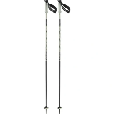 Εικόνα του Salomon Polar Pro S3 Μπατόν σκι