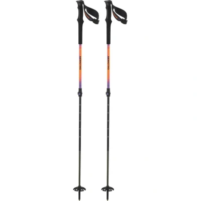Εικόνα του Salomon QST Carbon S3 Μπατόν σκι